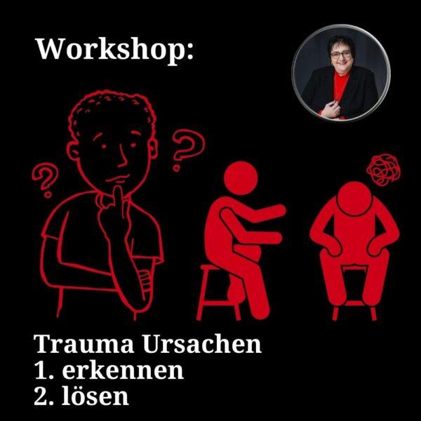 Workshop Trauma