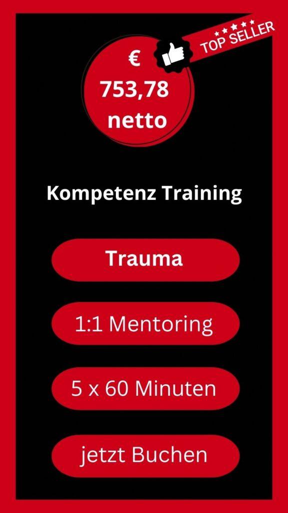 1. Hilfe bei Trauma Kompetenz Training 5 x 60 Minuten 1:1 Mentoring Kollross Helene Persönlichkeitsentwicklung