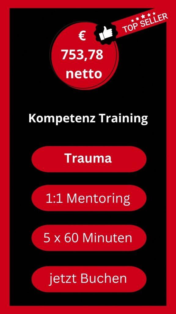 1. Hilfe bei Trauma Kompetenz Training 5 x 60 Minuten 1:1 Mentoring Kollross Helene Persönlichkeitsentwicklung