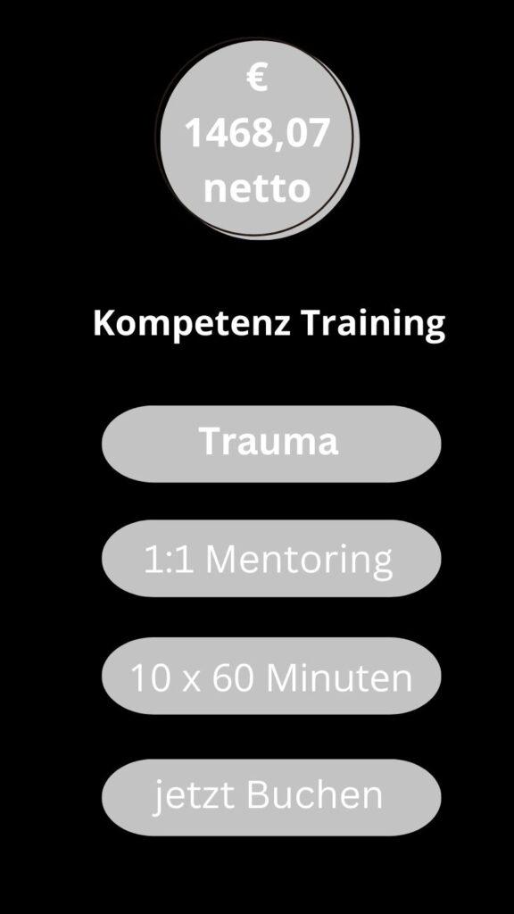 1. Hilfe bei Trauma Kompetenz Training 10 x 60 Minuten 1:1 Mentoring Kollross Helene Persönlichkeitsentwicklung