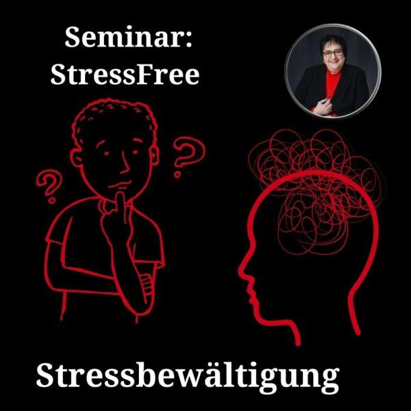 StressFree, Seminar Stressbewältigung