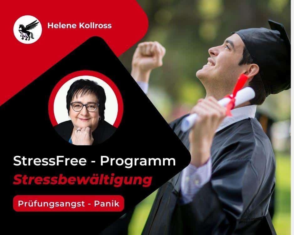 Hilfe bei Prüfungsangst & Panik, mit individuellen Stressbewältigungsstrategien zum Abitur StressFree Programm Helene Kollross