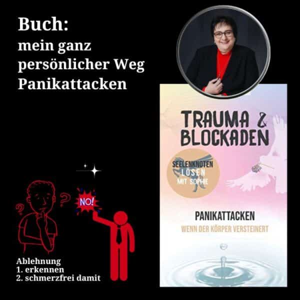 Buch Panikattacken