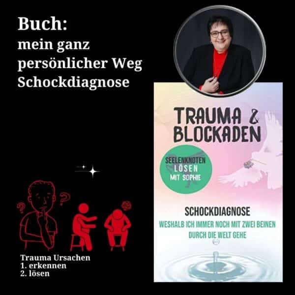 Buch Schockdiagnose